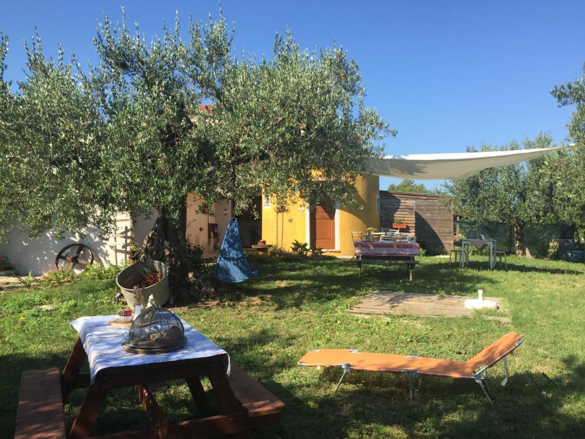 C'Era Una Volta Podere San Giovanni ฟอสซาเชเซีย ภายนอก รูปภาพ