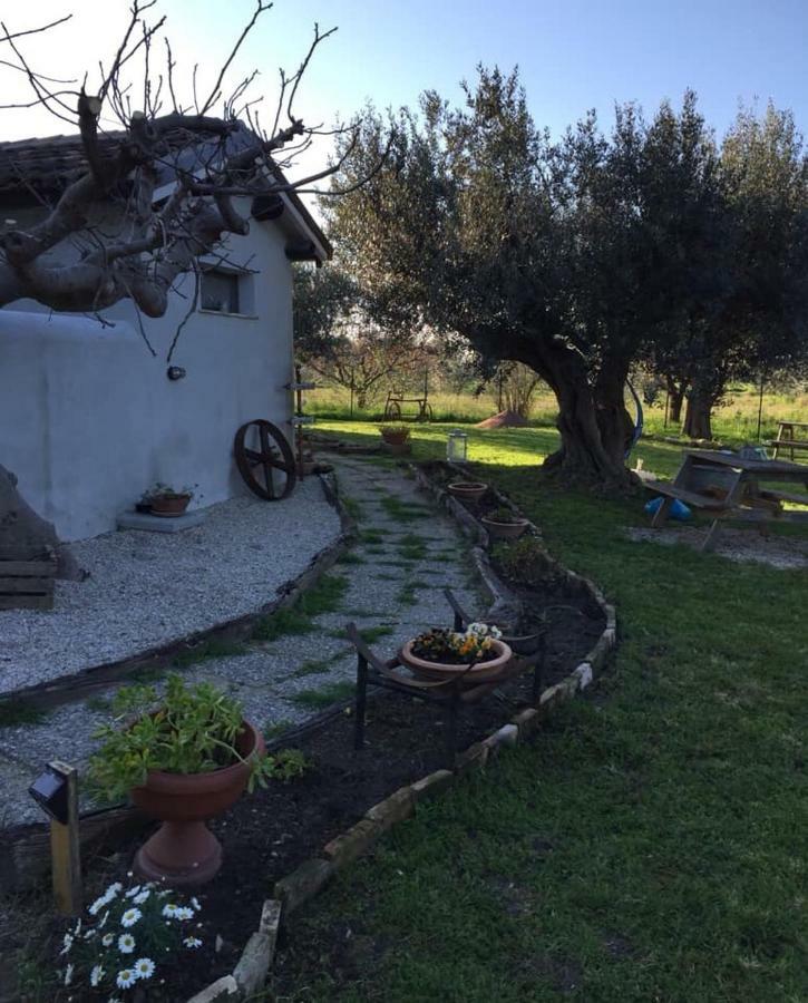 C'Era Una Volta Podere San Giovanni ฟอสซาเชเซีย ภายนอก รูปภาพ