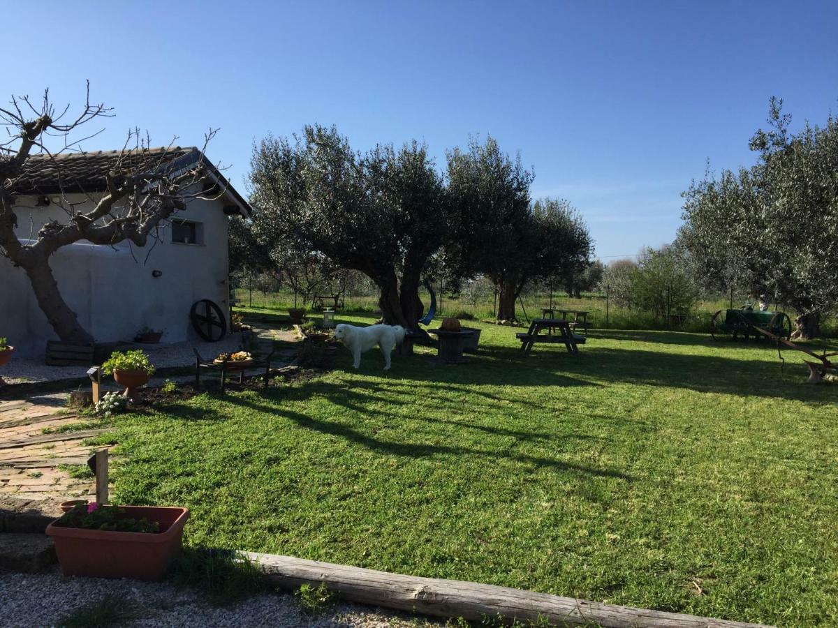 C'Era Una Volta Podere San Giovanni ฟอสซาเชเซีย ภายนอก รูปภาพ