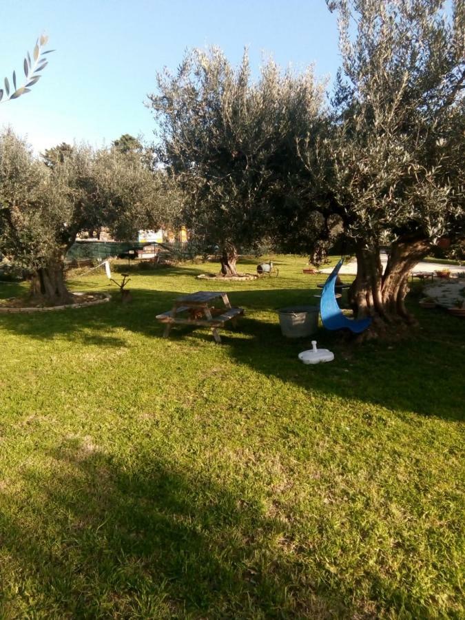 C'Era Una Volta Podere San Giovanni ฟอสซาเชเซีย ภายนอก รูปภาพ